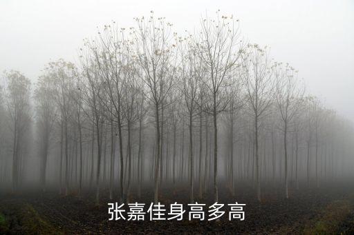 張嘉佳身高多高