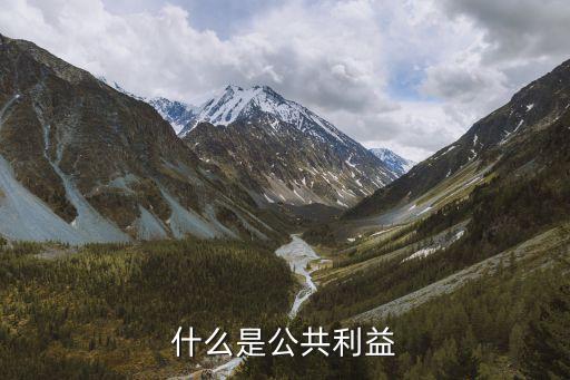 公共利益，土地法中什么是公共利益