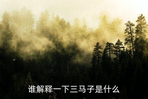 誰解釋一下三馬子是什么