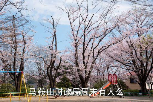 馬鞍山財政局，馬鞍山財政局早上幾點上班