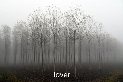  lover