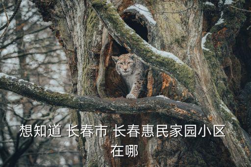 想知道 長春市 長春惠民家園小區(qū) 在哪