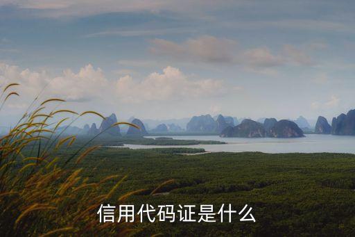 信用代碼證是什么