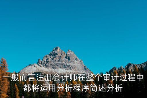 實(shí)質(zhì)性分析程序，控制測(cè)試與實(shí)質(zhì)性程序有何聯(lián)系和區(qū)別
