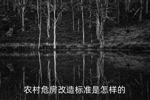 農(nóng)村危房改造政策，危房改造政策