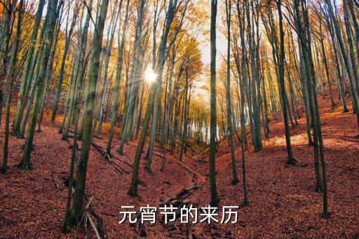 元宵節(jié)元宵節(jié)，元宵節(jié)的來歷