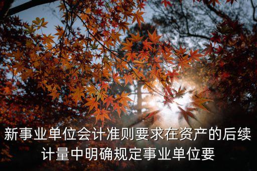 事業(yè)單位會計準則，事業(yè)單位會計核算基礎包括哪些