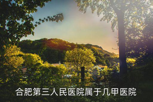 合肥第三人民醫(yī)院屬于幾甲醫(yī)院