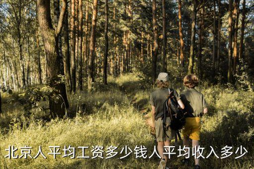 北京市月平均工資，北京人平均工資多少錢人平均收入多少