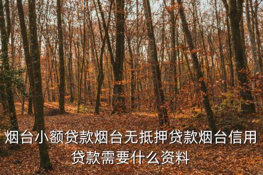 煙臺(tái)小額貸款煙臺(tái)無(wú)抵押貸款煙臺(tái)信用貸款需要什么資料