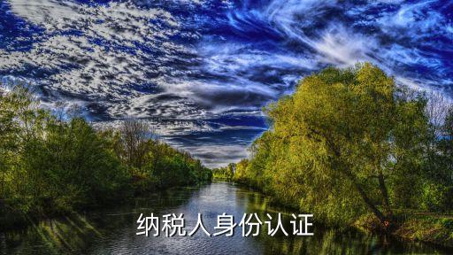 稅務(wù)實名認(rèn)證流程，誰知道開發(fā)區(qū)國稅局網(wǎng)上認(rèn)證需要怎樣辦急