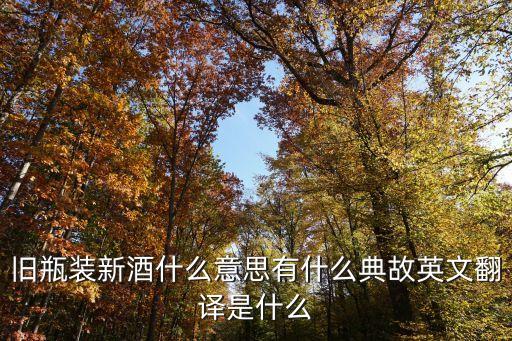 舊瓶裝新酒，舊瓶裝新酒的意思