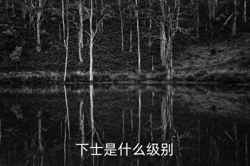 下士是什么級別