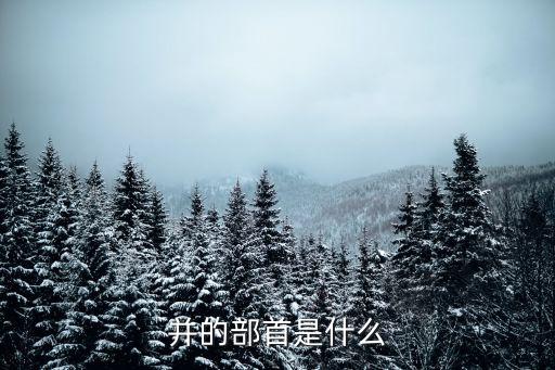 不并，用并不和也不造句子