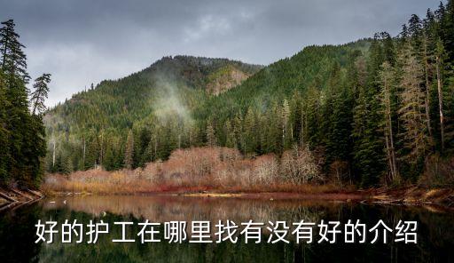 護工公司，各位大俠那個家政公的的護工比較好