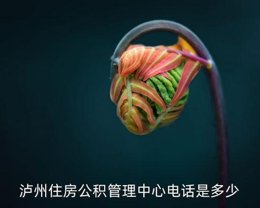 瀘州住房公積管理中心電話(huà)是多少