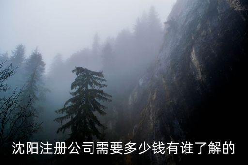 沈陽(yáng)注冊(cè)公司需要多少錢(qián)有誰(shuí)了解的
