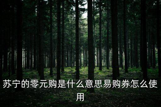 蘇寧的零元購是什么意思易購券怎么使用