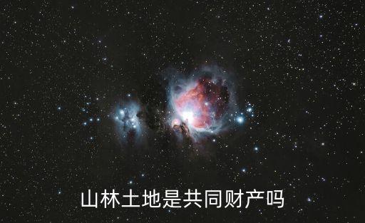 山林土地是共同財產(chǎn)嗎