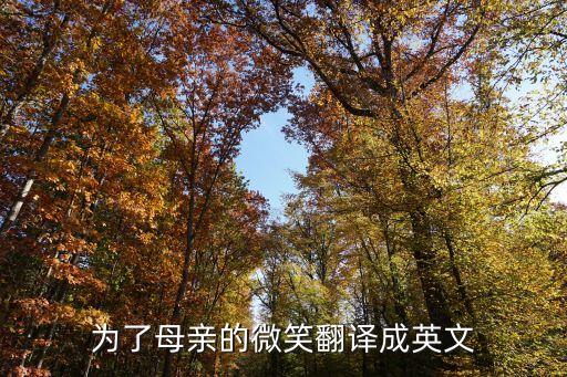 為了母親的微笑，劉歡的有首歌叫啥里面有句歌詞是為了母親的微笑