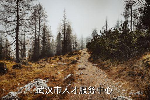 武漢市人才服務中心，武漢市人才管理中心在哪里