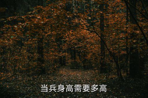 當兵身高需要多高