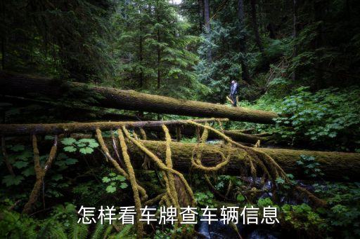 車牌信息查詢，車牌號(hào)碼查詢