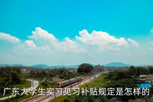見習補貼，大學生實習補助