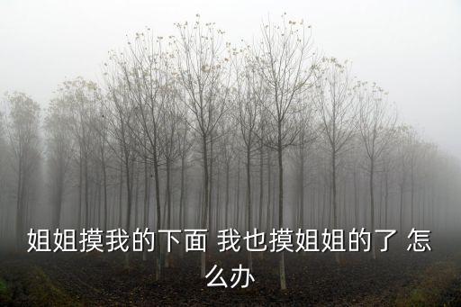 姐姐摸我的下面 我也摸姐姐的了 怎么辦