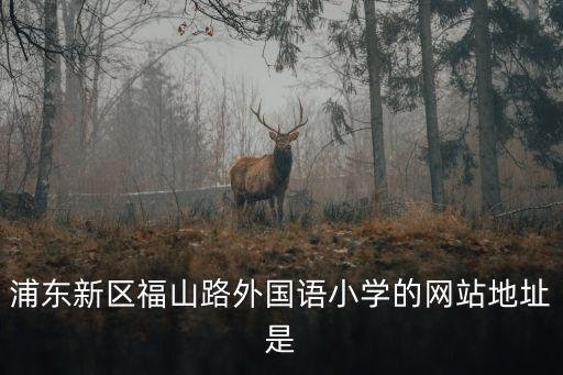 浦東新區(qū)福山路外國(guó)語(yǔ)小學(xué)的網(wǎng)站地址是