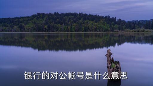公賬號(hào)，銀行的對(duì)公帳號(hào)是什么意思