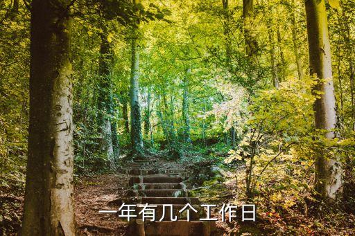 一年有幾個工作日