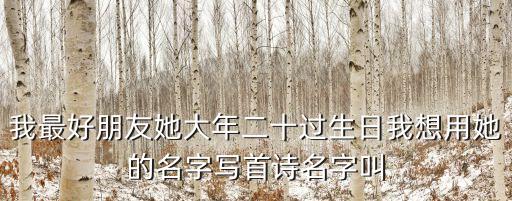 我最好朋友她大年二十過生日我想用她的名字寫首詩名字叫