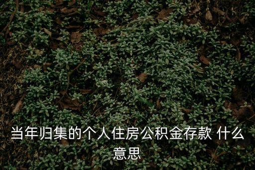 歸集是什么意思，信托計劃期限屆滿前3個月開始實行資金歸集是什么意思
