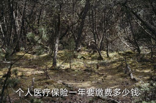 個人醫(yī)療保險一年要繳費多少錢