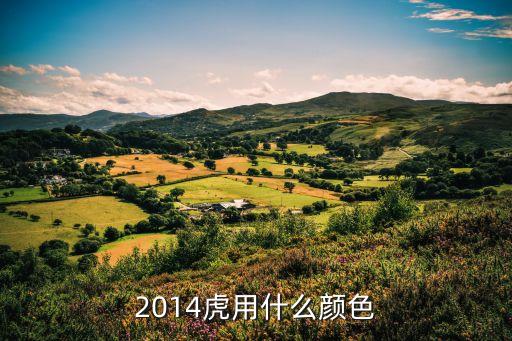 四虎黃色，黃色的老虎叫什么