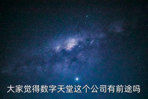 數(shù)字天堂，大家覺得數(shù)字天堂這個公司有前途嗎