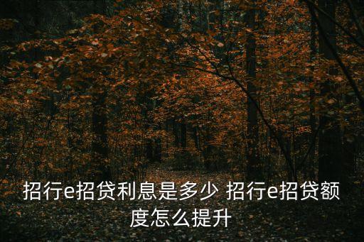 招行e招貸利息是多少 招行e招貸額度怎么提升