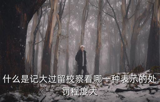 大過，什么是記大過留校察看哪一種表示的處罰程度大