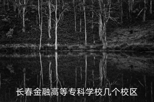 長春金融高等專科學(xué)校幾個校區(qū)