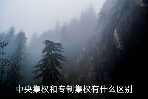中央集權(quán)和專制集權(quán)有什么區(qū)別