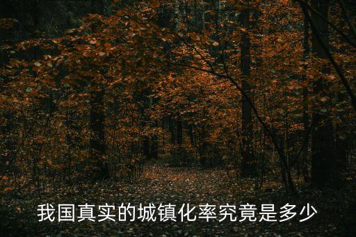 城鎮(zhèn)化水平，我國的城市化水平與工業(yè)化水平分別是多少