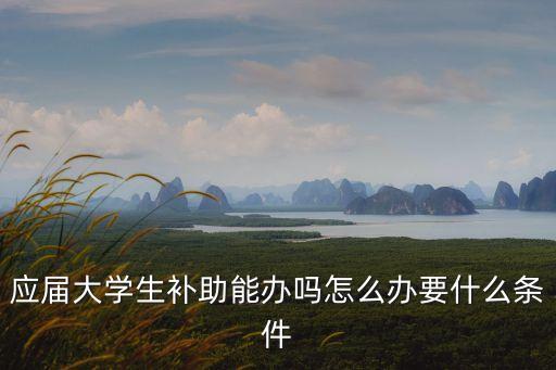 應(yīng)屆大學(xué)生補(bǔ)助能辦嗎怎么辦要什么條件