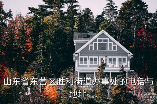山東省東營區(qū)勝利街道辦事處的電話與地址