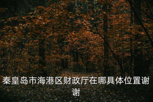 秦皇島市海港區(qū)財(cái)政廳在哪具體位置謝謝
