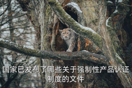 國家已發(fā)布了哪些關(guān)于強(qiáng)制性產(chǎn)品認(rèn)證制度的文件