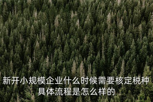 新開小規(guī)模企業(yè)什么時(shí)候需要核定稅種具體流程是怎么樣的