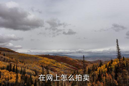 網(wǎng)上拍賣，在網(wǎng)上怎么拍賣