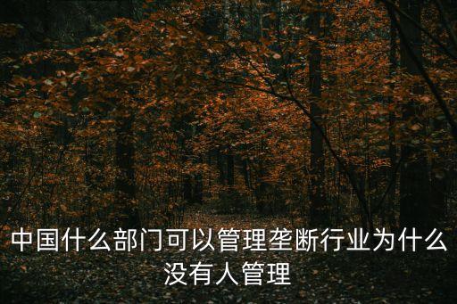 中國什么部門可以管理壟斷行業(yè)為什么沒有人管理