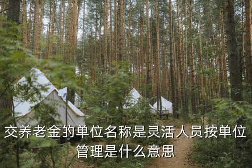 交養(yǎng)老金的單位名稱是靈活人員按單位管理是什么意思